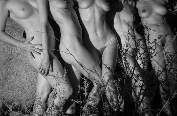 700x458, 89 Kb / девушки, голые, кусты