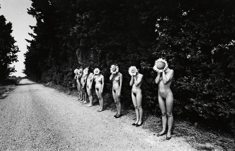 1000x644, 377 Kb / подсолнухи, ч/б, дорога, голые