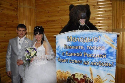 500x334, 47 Kb / медведь, загс, свадьба, невеста, единая россия