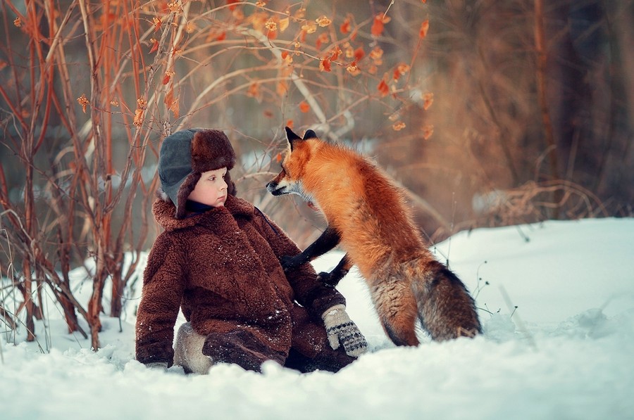 900x597, 139 Kb / лиса, мальчик, зима, снег