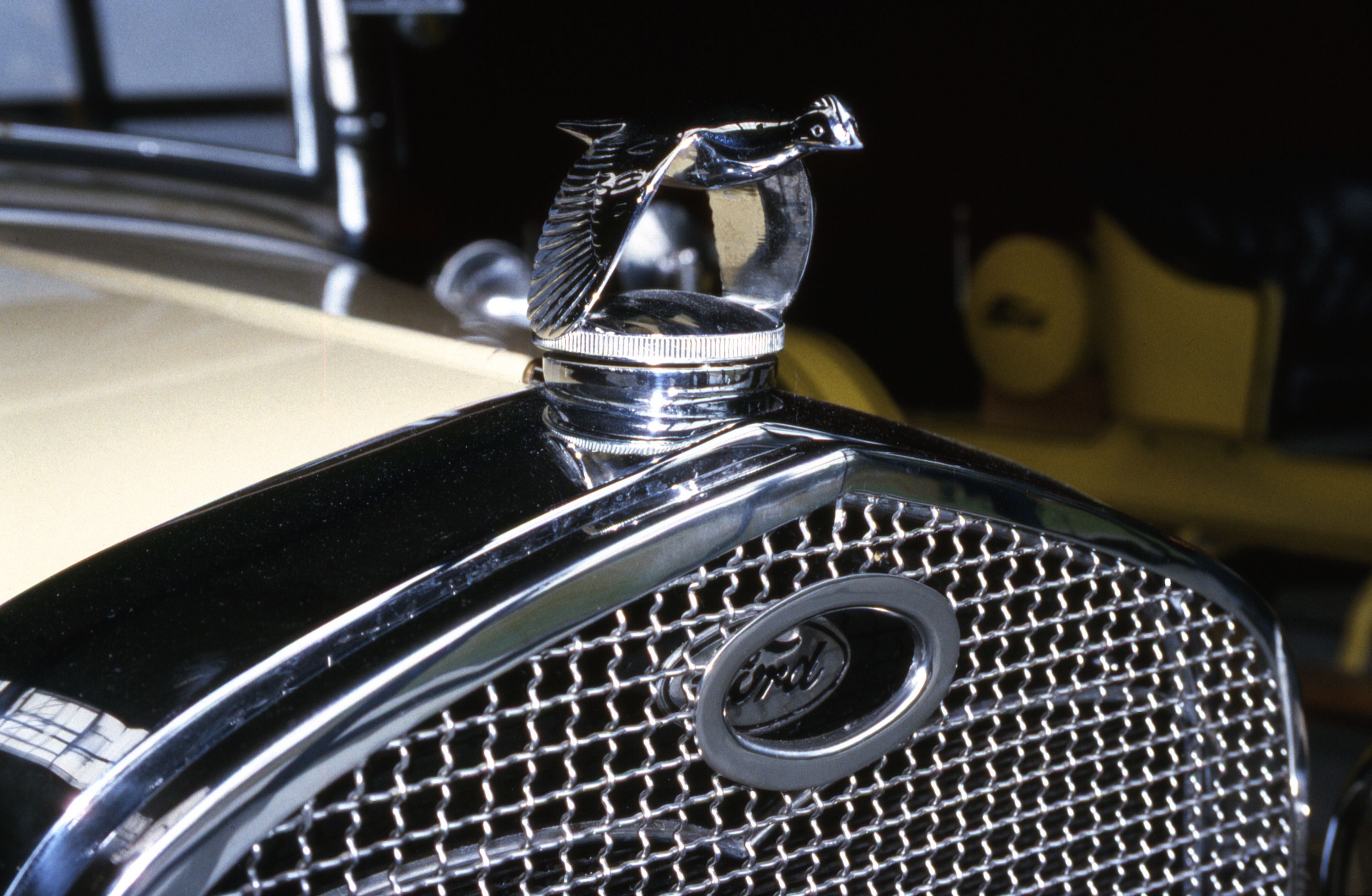 3000x1960, 611 Kb / крышка, птица, Форд,udochristmann