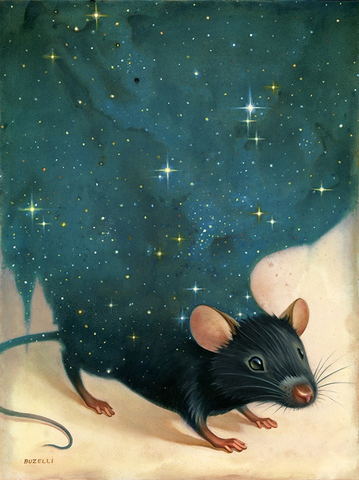 719x960, 196 Kb / мышь, ночь, звёзды, Chris Buzelli