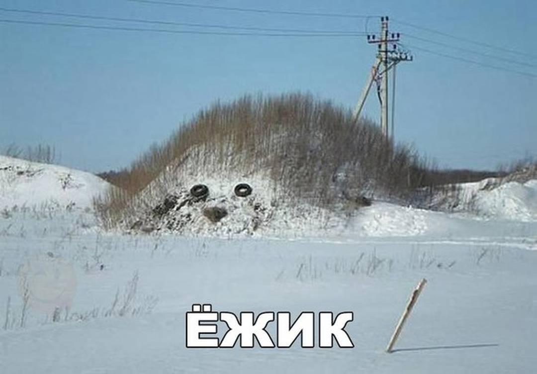 1080x752, 58 Kb / снег, холм, ёжик