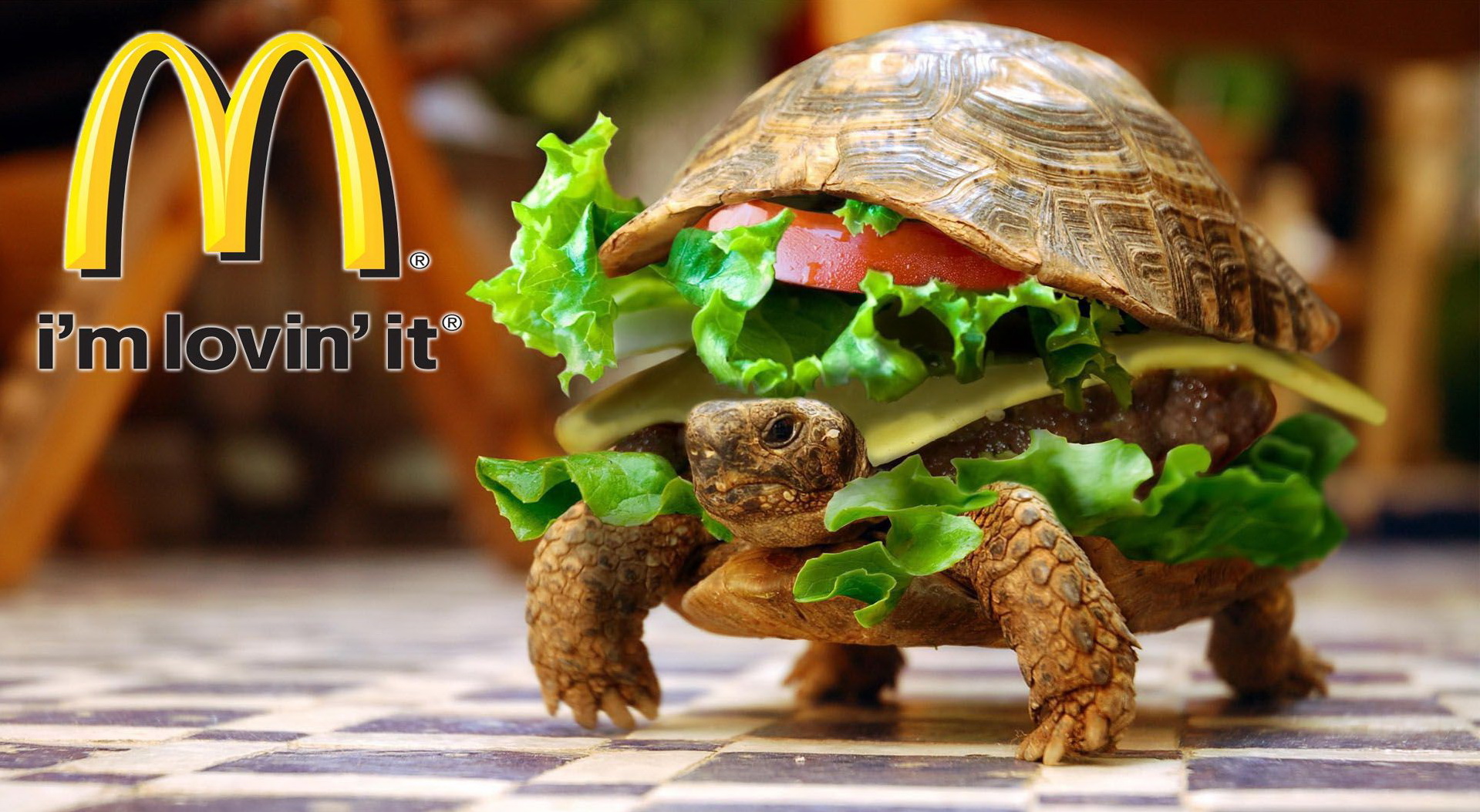 1919x1053, 553 Kb / макдональдс, черепаха, бургер