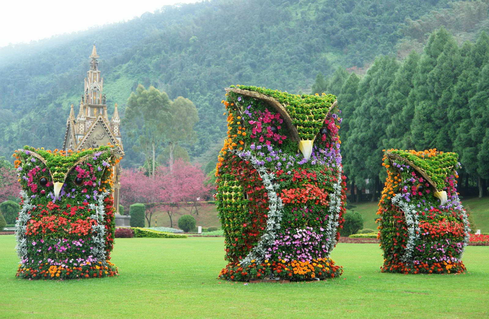 1599x1043, 274 Kb / кусты, совы