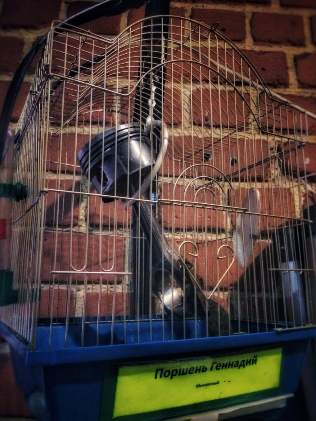 1018x1356, 261 Kb / клетка, поршень, геннадий