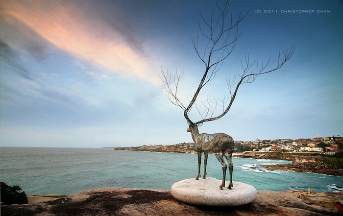 700x441, 74 Kb / олень, камень, море, небо