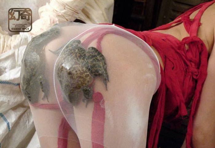 700x480, 38 Kb / задница, жабы, красное