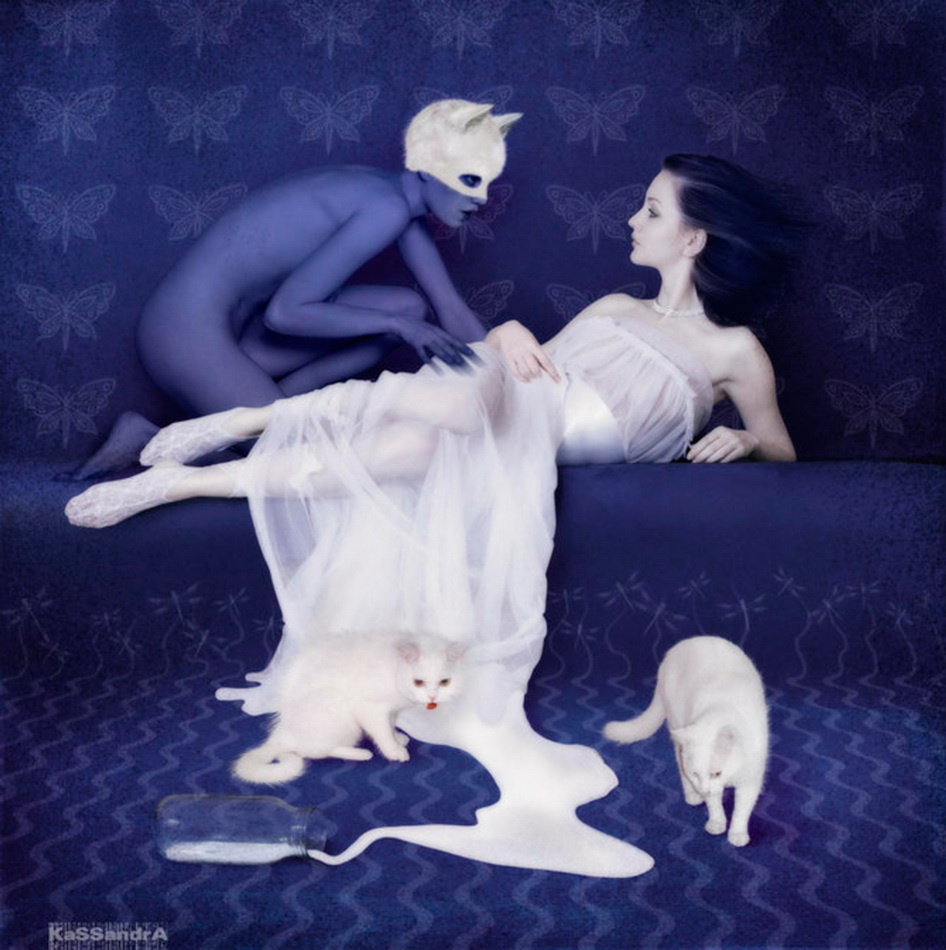 946x950, 216 Kb / женщины, молоко, кошки