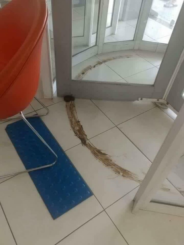 640x854, 67 Kb / говно, дверь