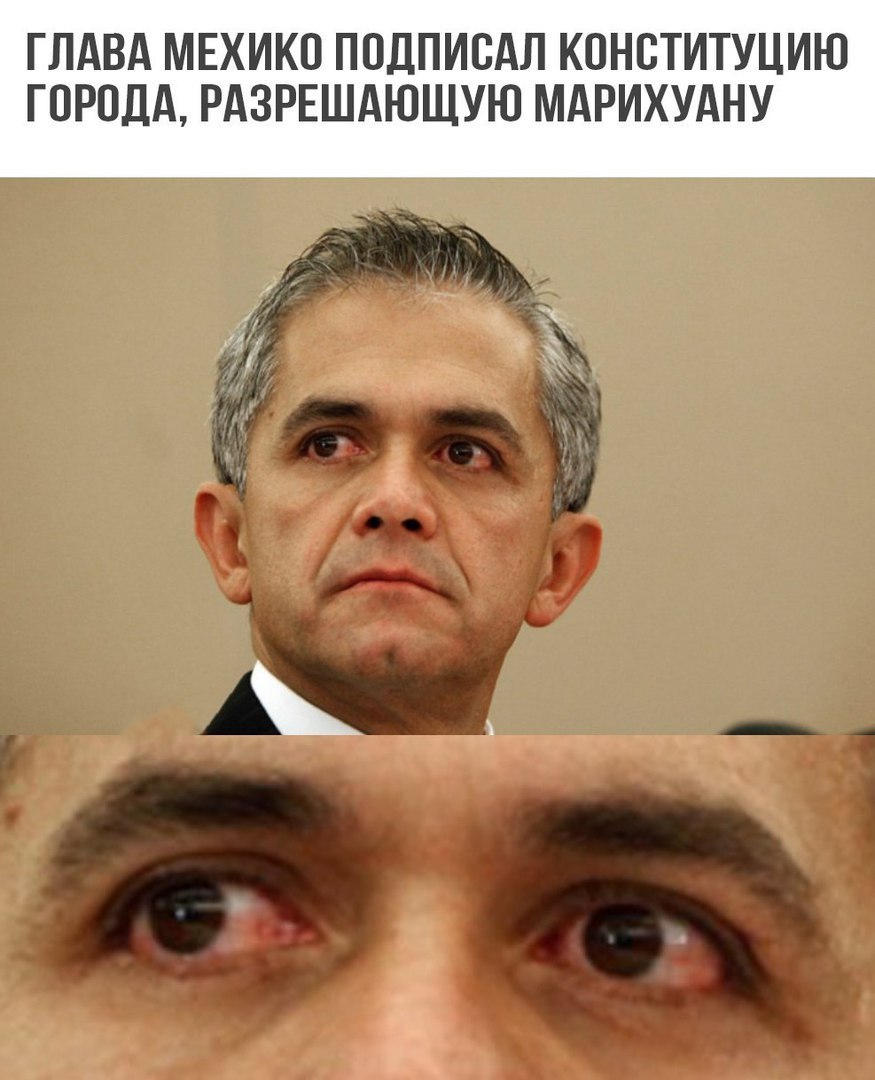 875x1080, 112 Kb / марихуана, мэр, мехико, красные глаза