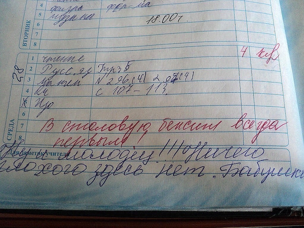 1024x768, 207 Kb / дневник, молодец