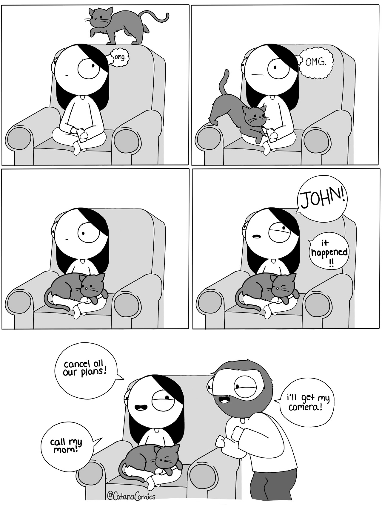 1280x1707, 312 Kb / кот, камера, планы