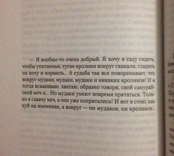 604x543, 53 Kb / коан, мудаки, кролики