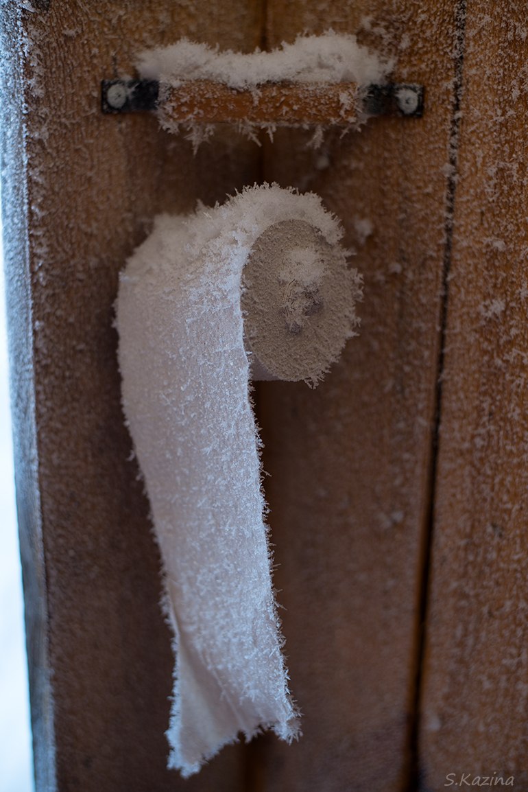 770x1154, 157 Kb / туалетная бумага, иней