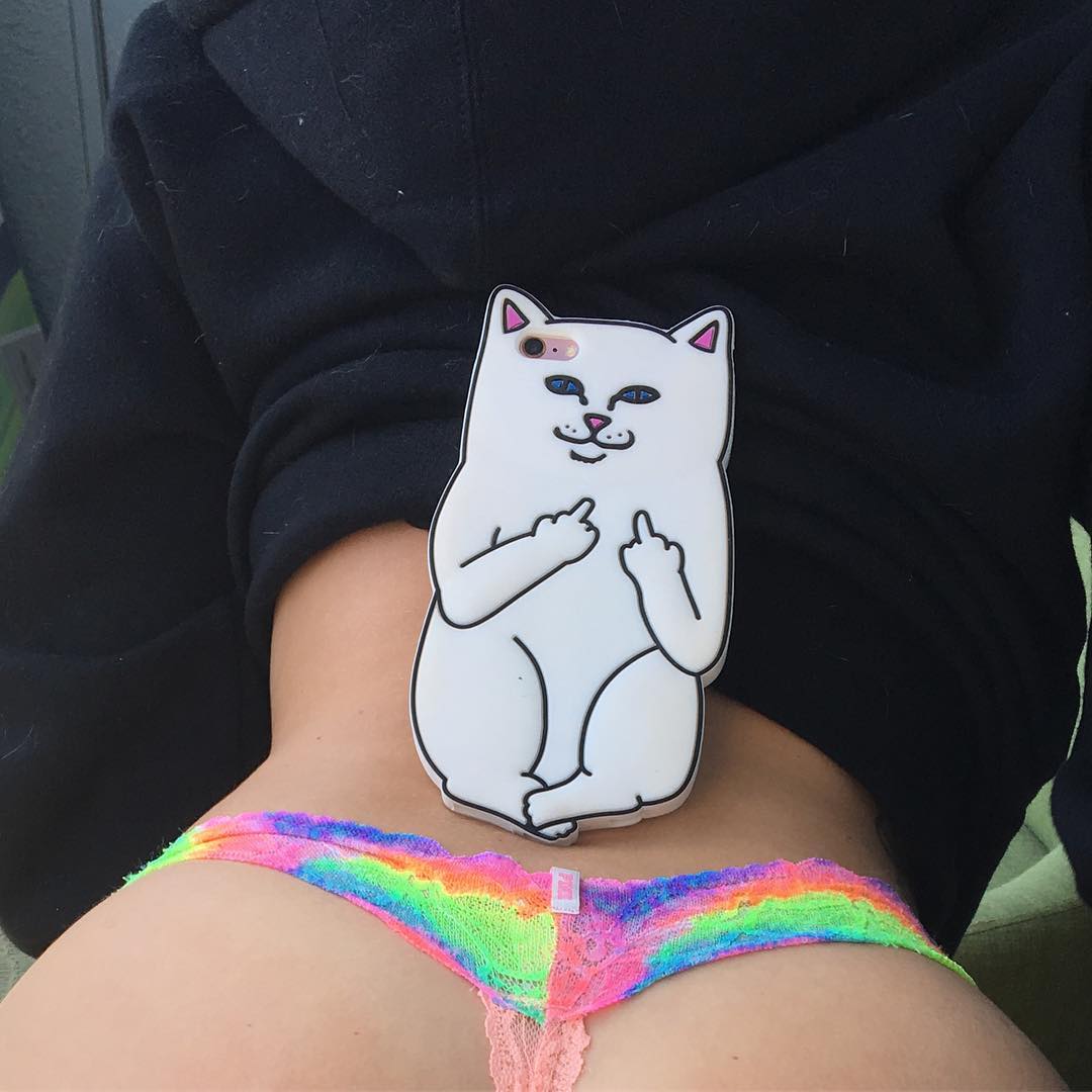 1080x1080, 80 Kb / байка, фак, кот, смартфон, раком, кружева, радужные