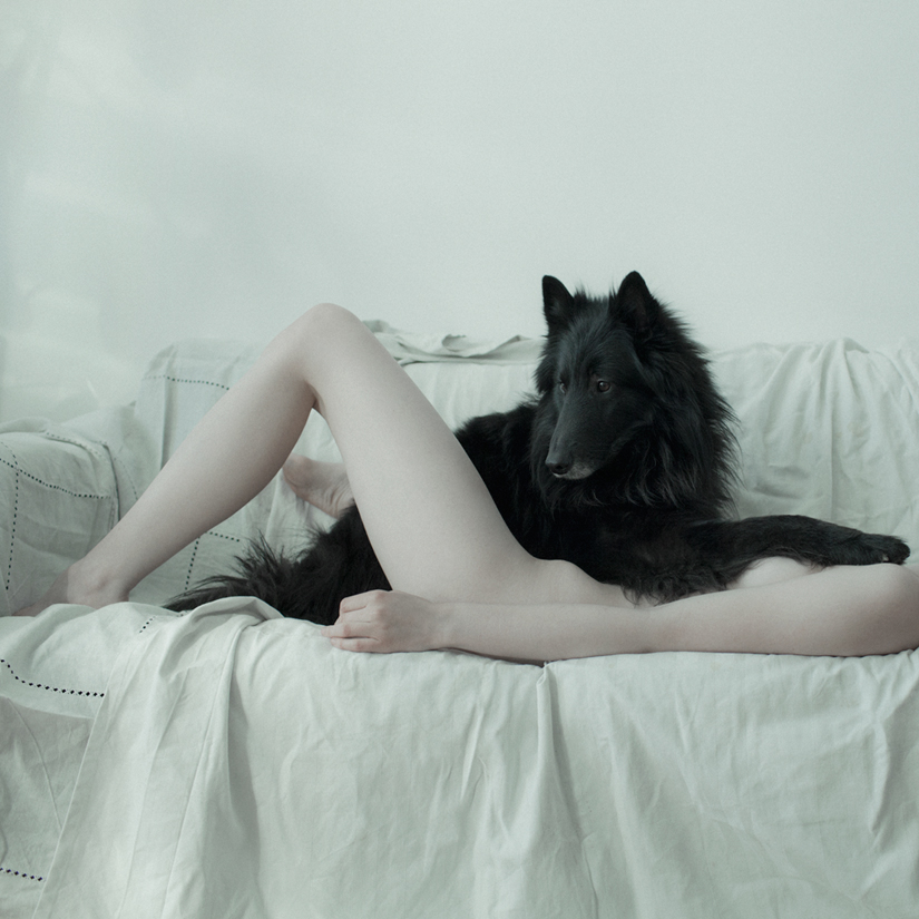 825x825, 332 Kb / собака, диван, девушка, черная, зоофилия