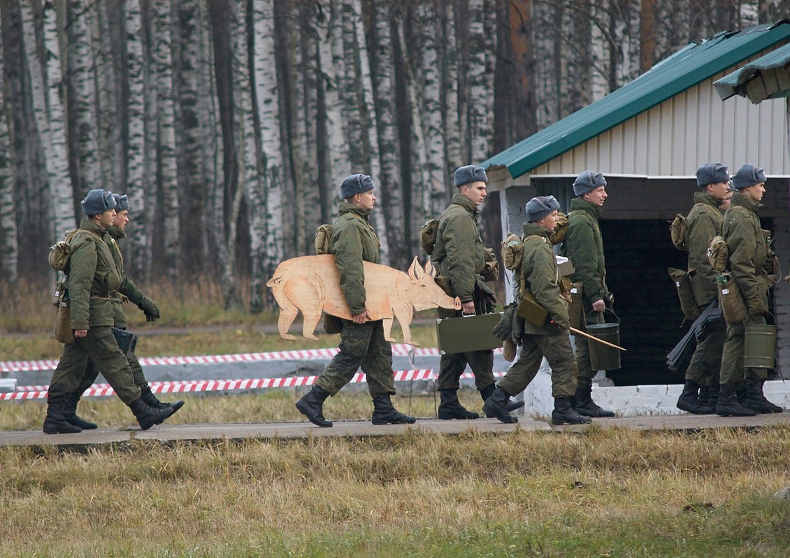 1130x798, 245 Kb / солдаты, берёзы, свинья,