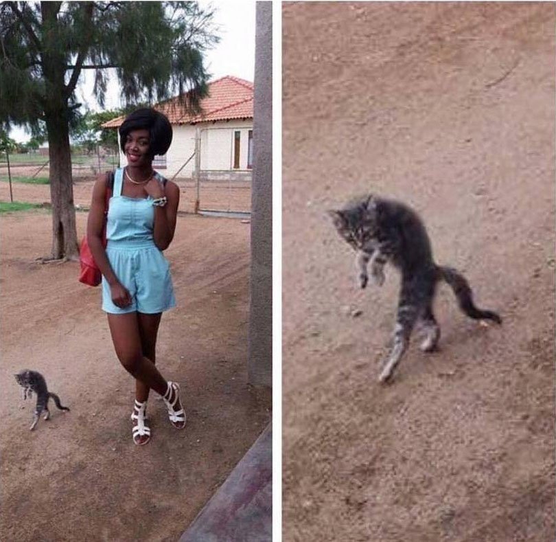 810x789, 117 Kb / черная девушка, котеночек, на цыпочках