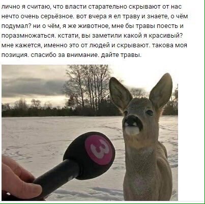 403x401, 36 Kb / Трава, животное, власти, интервью