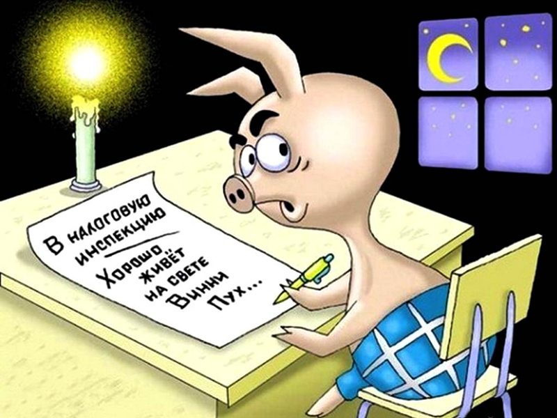 800x600, 294 Kb / пятачок