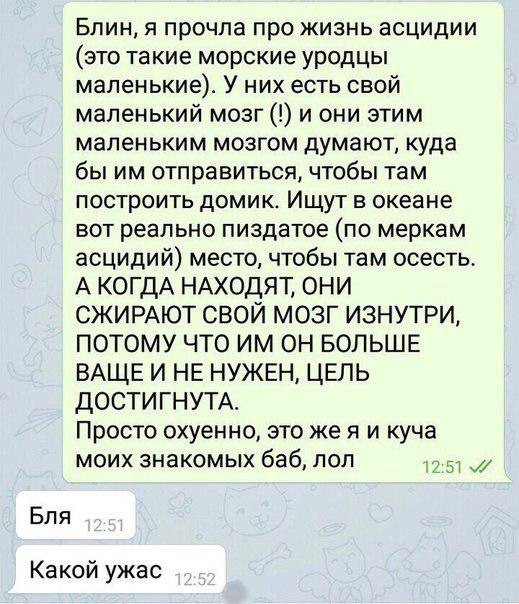 519x604, 79 Kb / асцидии, мозг, цель