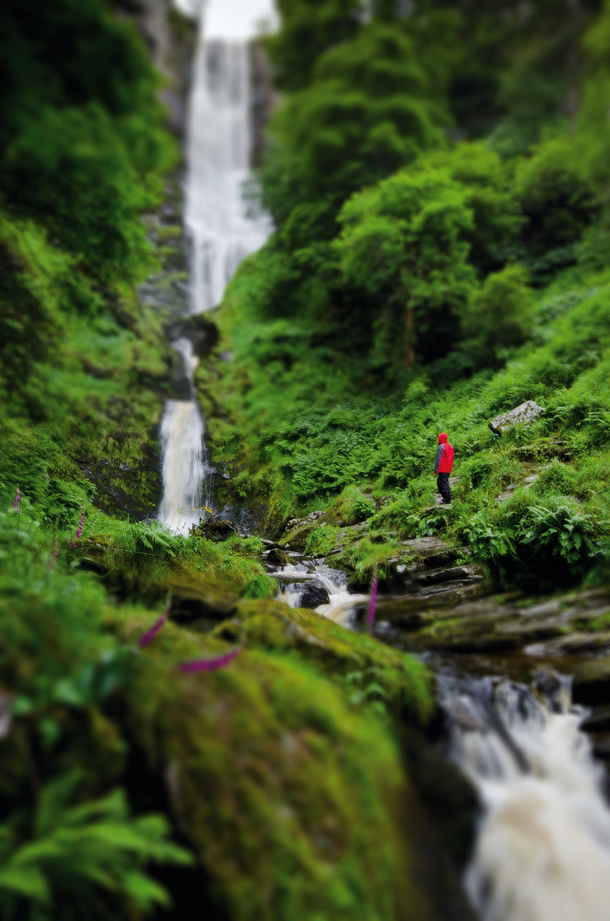 610x921, 448 Kb / фонтан, речка, деревья, трава, человек, tilt-shift