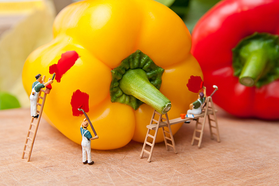 900x600, 286 Kb / болгарские, перцы, красят, перец