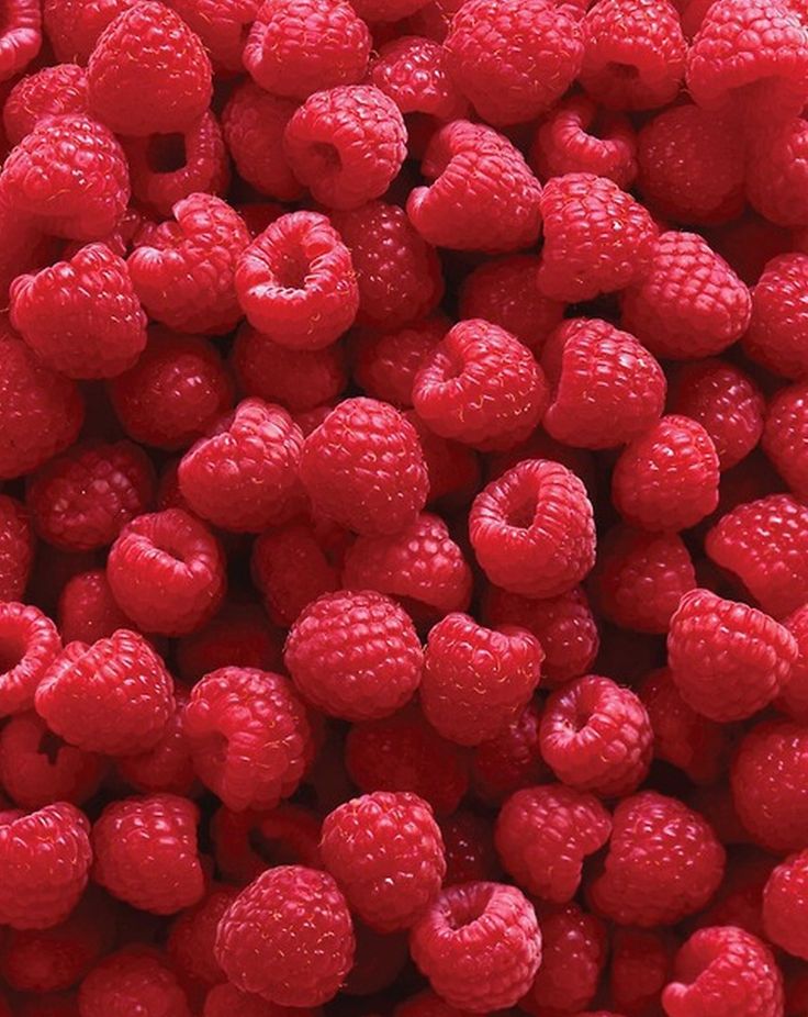 736x926, 114 Kb / малина