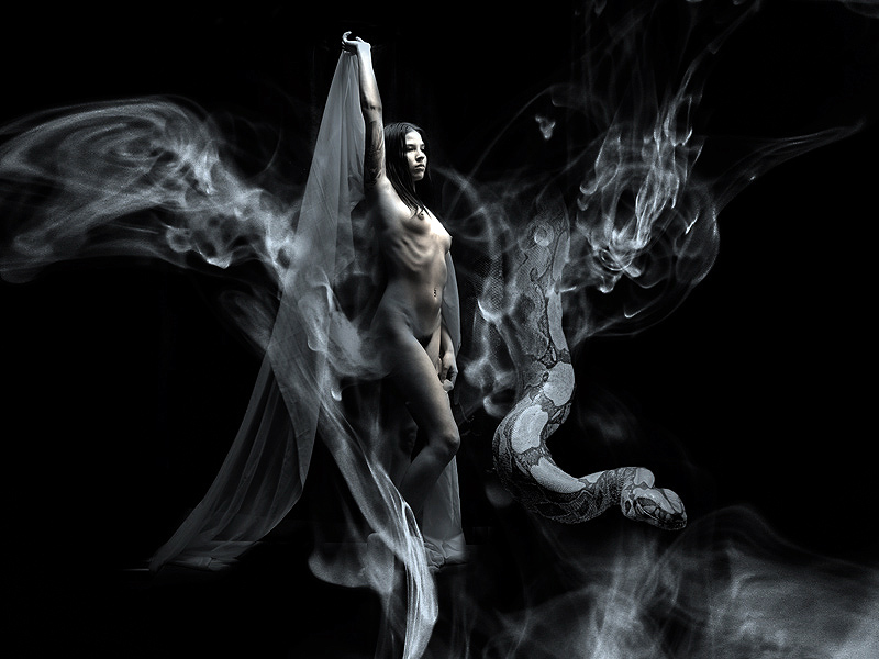 800x600, 161 Kb / женщина, змий, огонь, дым