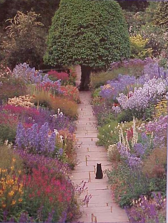 585x777, 172 Kb / кот, дерево