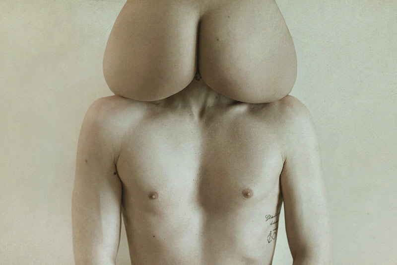 800x533, 68 Kb / тату, попа, хэдкраб, Bob Tot