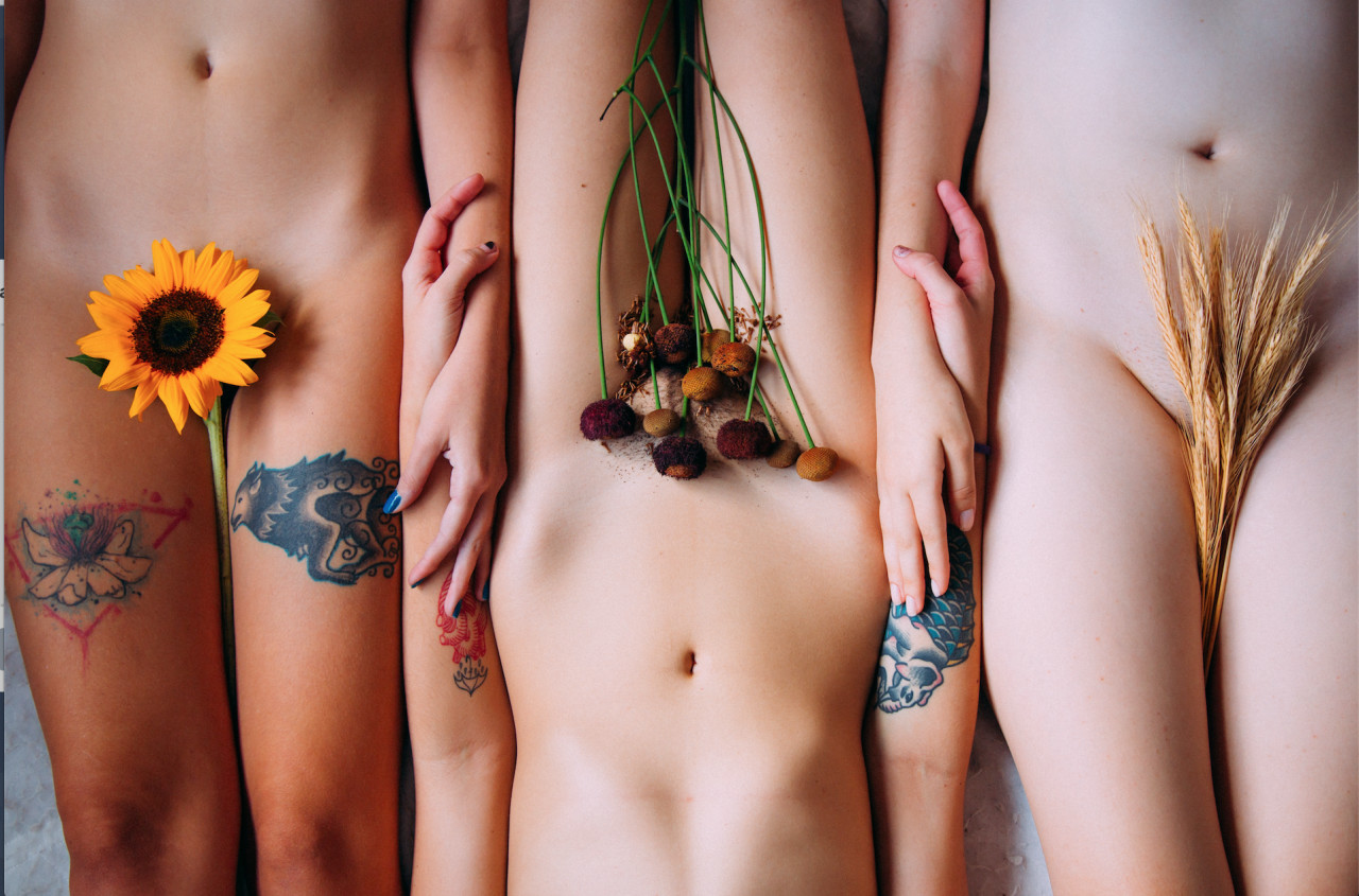 1280x845, 278 Kb / тату, подсолнух, пшеница, злаки, цветок, три