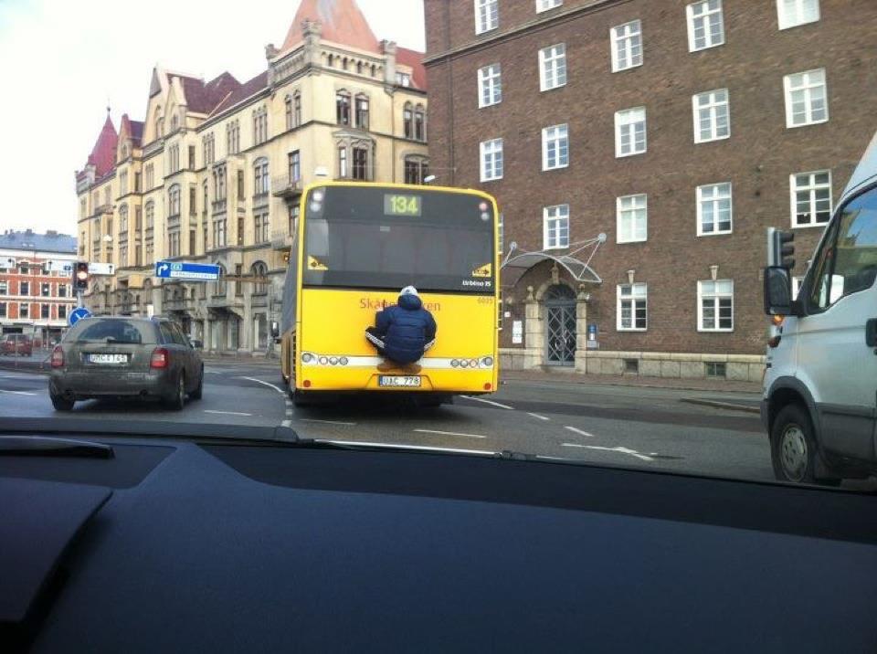 960x716, 83 Kb / автобус, гопник, заяц