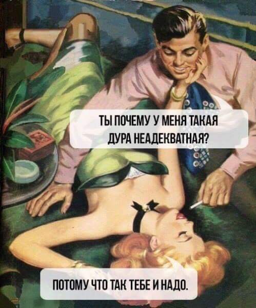 499x600, 72 Kb / Дура, неадекватная, диалог