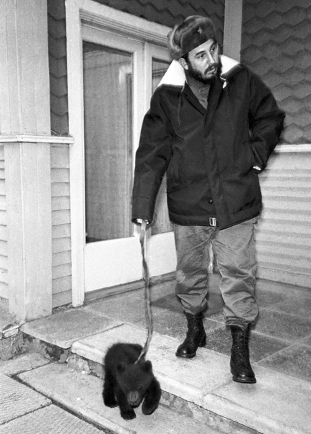 452x630, 82 Kb / фидель кастро, медвежонок, ч/б