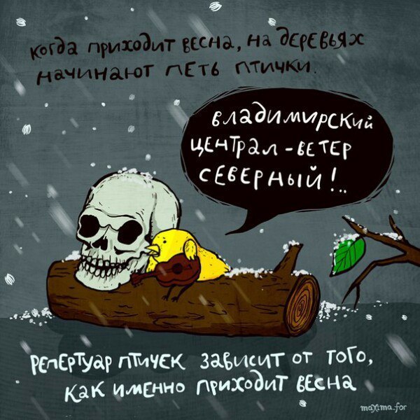 600x600, 83 Kb / весна, птички, череп, централ