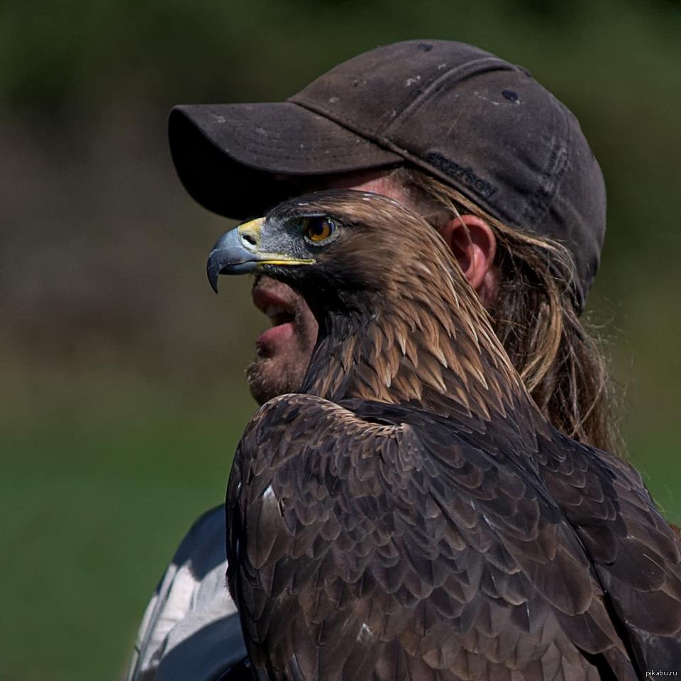 960x960, 86 Kb / орел, бейсболка, глаз, показалось