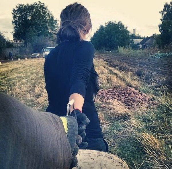 600x592, 107 Kb / поле, картошка, брюнетка, ведро, рука, сзади