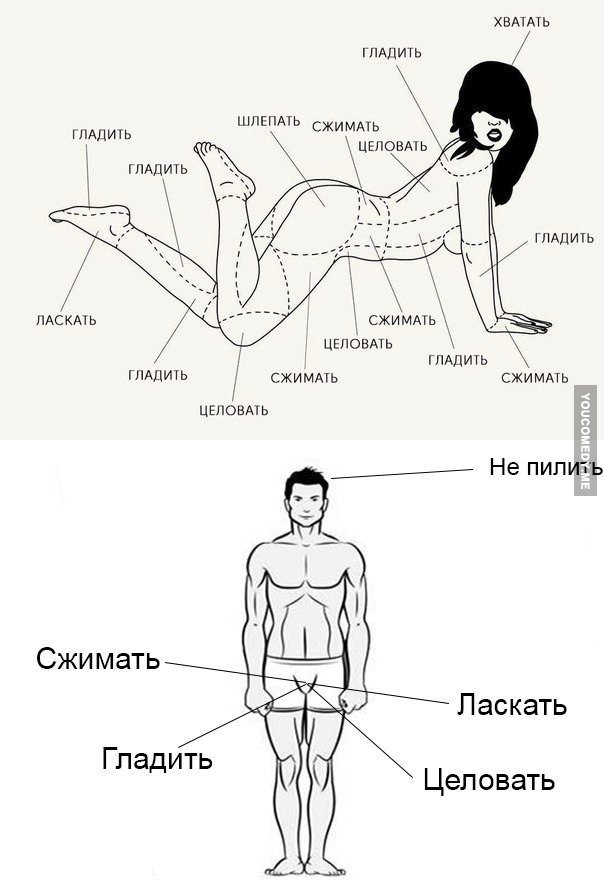 604x880, 63 Kb / инструкция, схема, мужчина, женщина, разделка