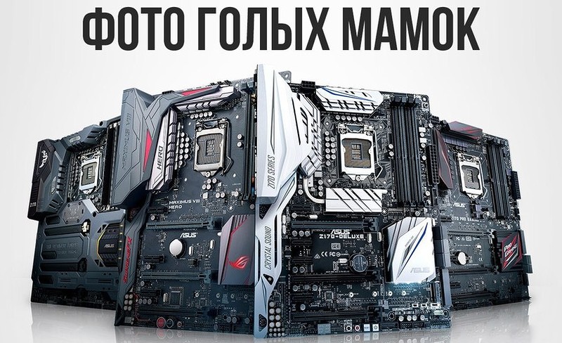 800x488, 131 Kb / голые, мамки, материнская плата