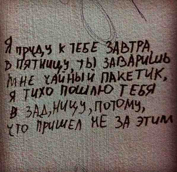 597x580, 39 Kb / завтра, пятница, задница, пакетик, надпись