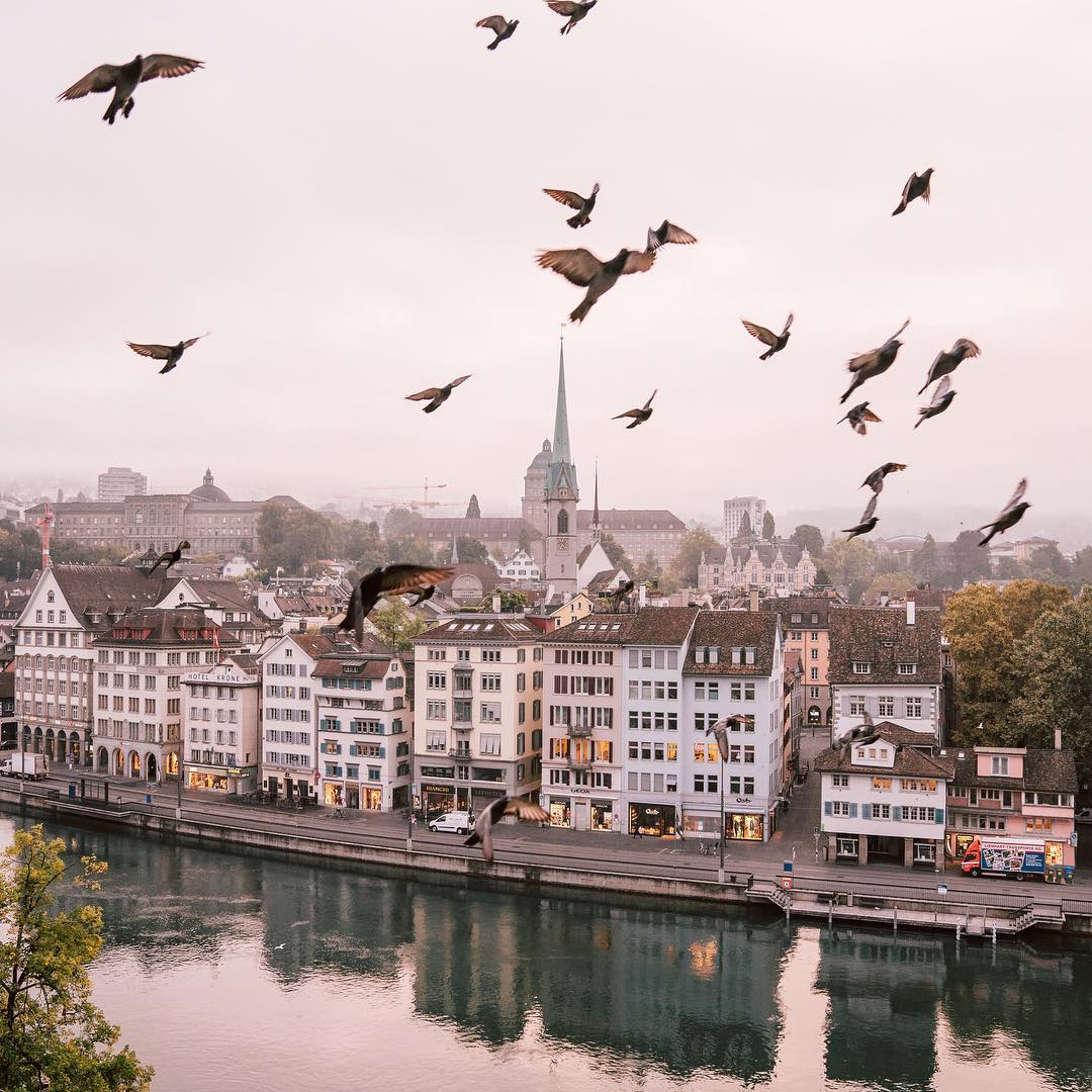 1080x1080, 165 Kb / цюрих, птицы, река