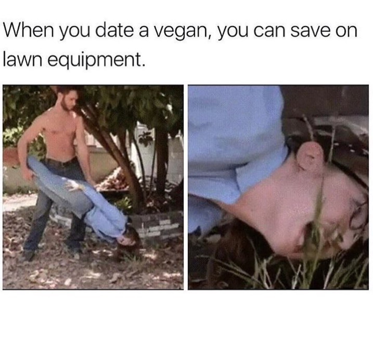 1242x1153, 198 Kb / веган, газонокосилка