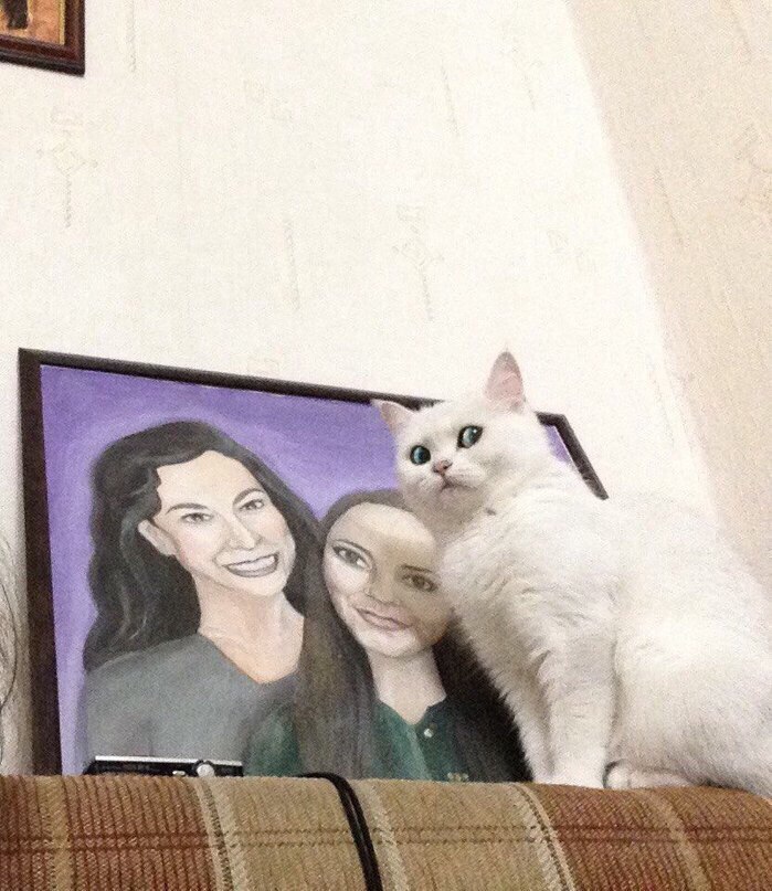 699x807, 127 Kb / кот, взгляд, портрет