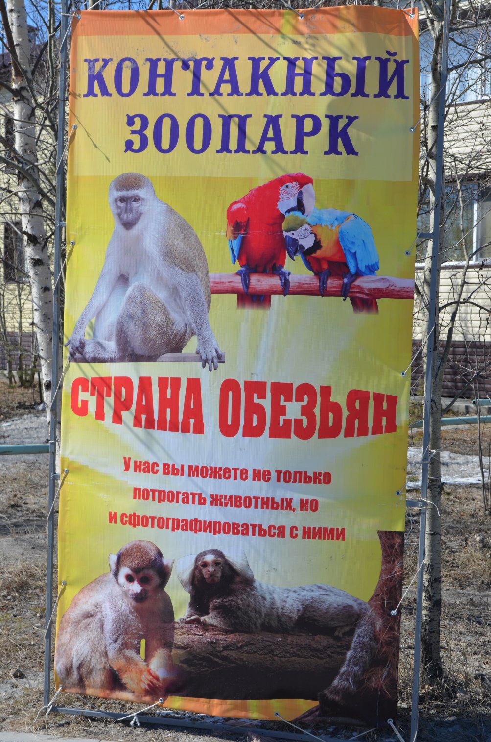 1003x1514, 350 Kb / зоопарк, страна, обезьян