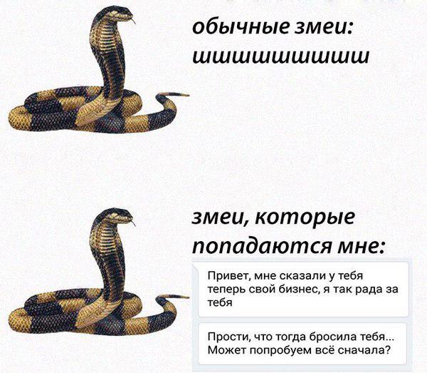 600x523, 57 Kb / змеи, бизнес