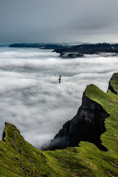 500x750, 117 Kb / горы, облака, птица, исландия