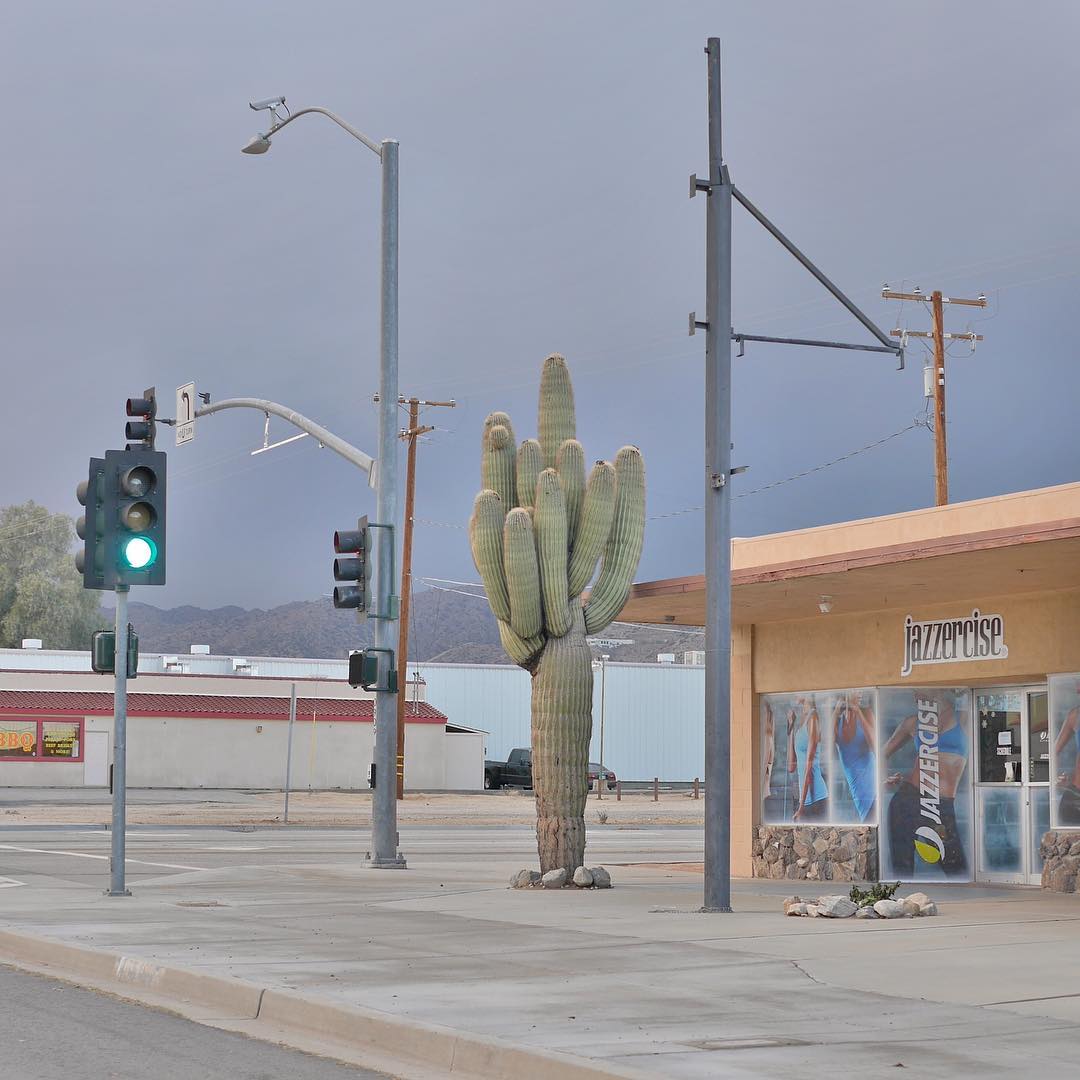 1080x1080, 97 Kb / кактус, фак, светофор