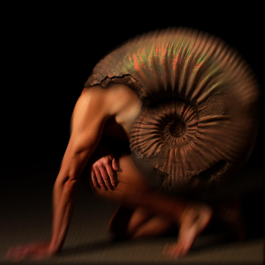 900x900, 92 Kb / мужчина, улитка, амонит